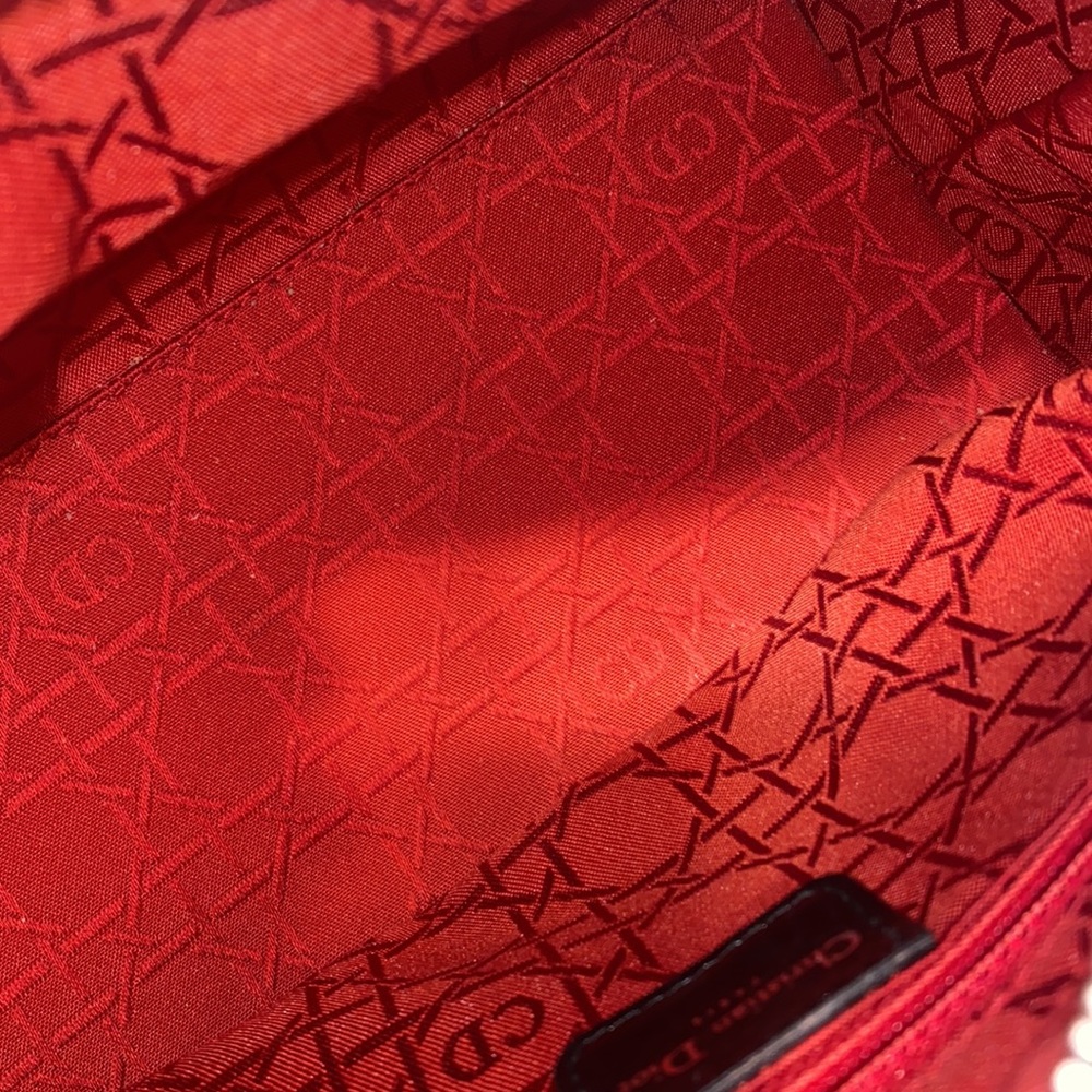 Lady Dior bag ( limited edition). - Picture 6 of 15